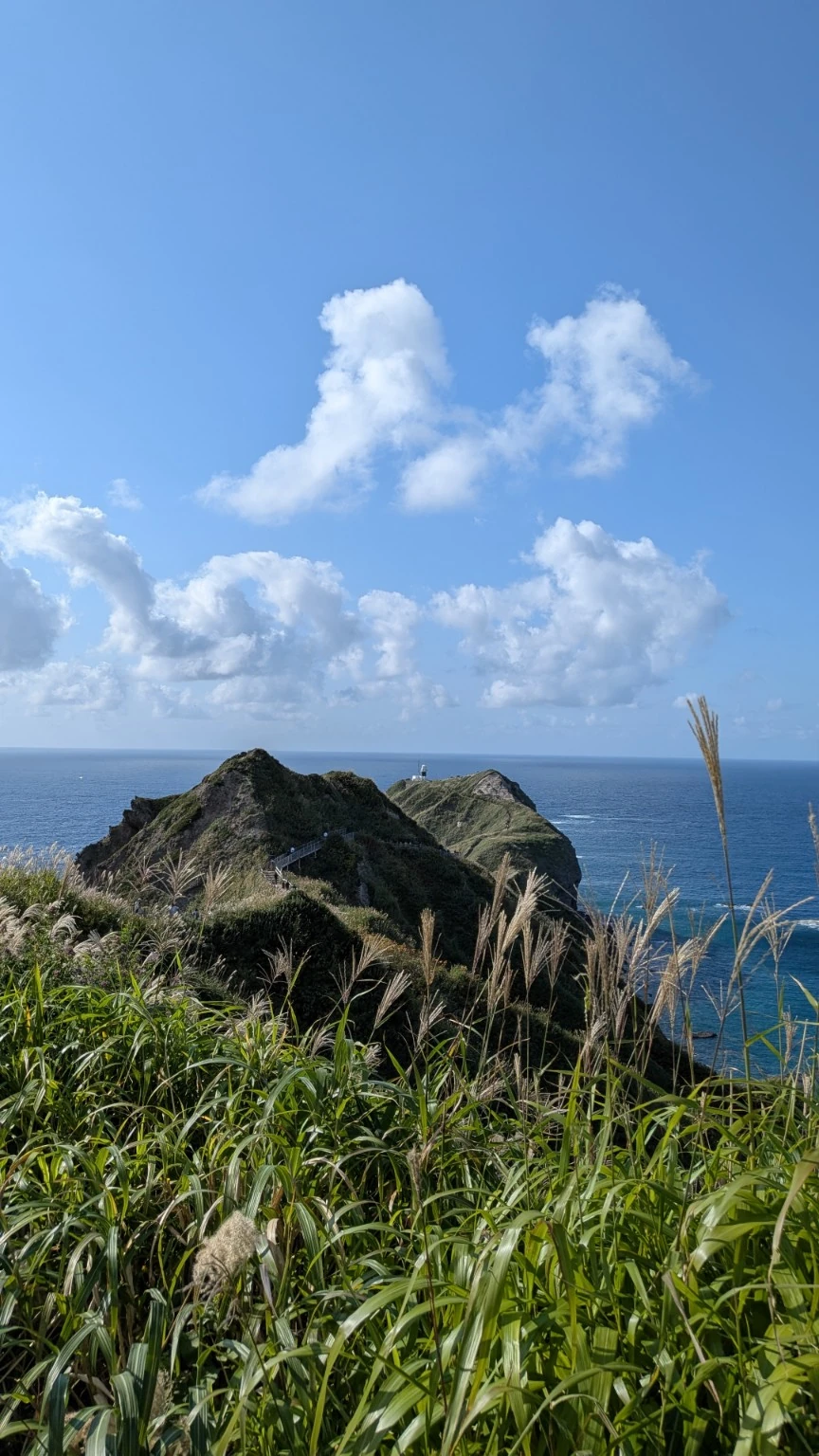 青い海へと伸びる神威岬と、手前に広がる草原